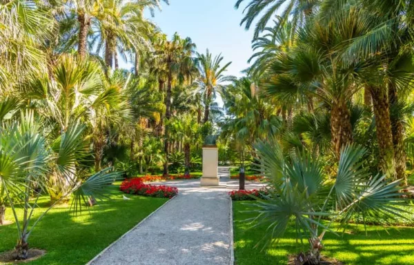 Elche